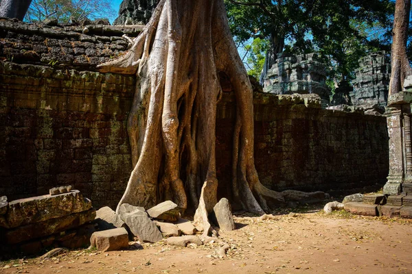 Alter Buddhistischer Tempel Mit Ruinen Angkor Wat Kambodscha — Stockfoto