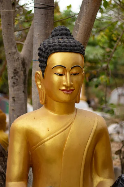 Buddha Szobra Kambodzsai Siem Aratóban — Stock Fotó