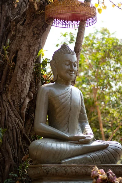 Estátua Buda Siem Reap Camboja — Fotografia de Stock