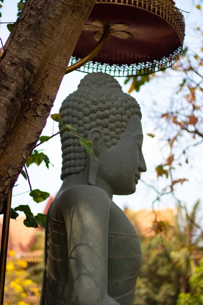 Статуя Будды Сиемреапе Камбоджа — стоковое фото