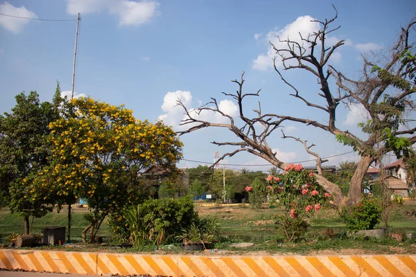 Kamboçya Siem Reap Şehrin Manzarası — Stok fotoğraf