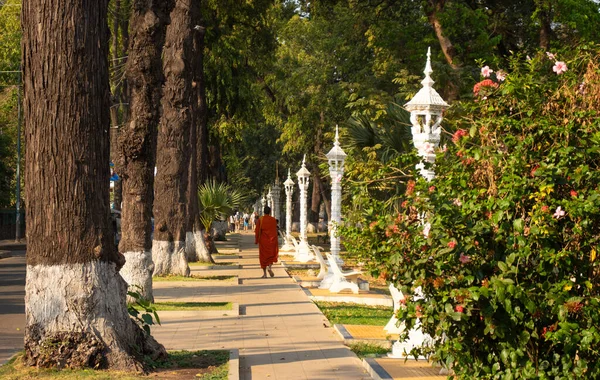 Camboya Siem Reap Una Hermosa Vista Monje Caminando Calle Ciudad — Foto de Stock
