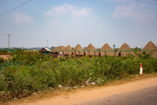Село Солом Яними Будинками Річці Сіємреап Камбоджа — стокове фото