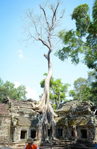 Καμπότζη Siem Reap Phrom Ναός — Φωτογραφία Αρχείου