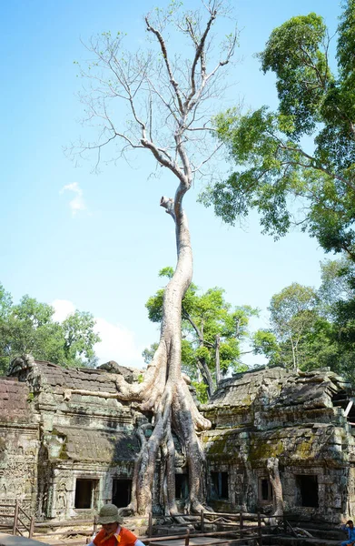 Cambodge Siem Reap Temple Phrom — Photo