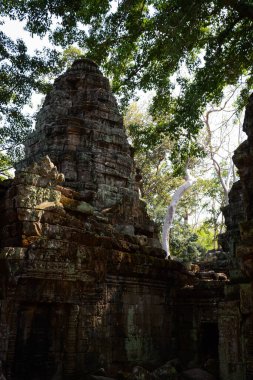 Harabeleri ve ağaçları olan eski Kamboçya tapınağı, Ta Phrom Tapınağı