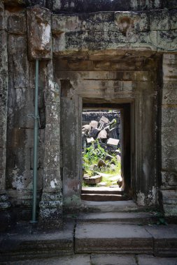 Harabeleri ve ağaçları olan eski Kamboçya tapınağı, Ta Phrom Tapınağı