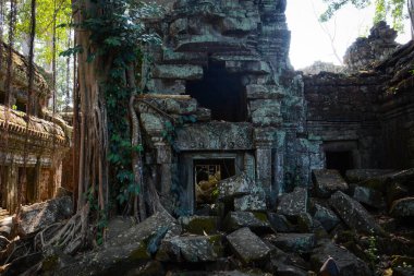 Harabeleri ve ağaçları olan eski Kamboçya tapınağı, Ta Phrom Tapınağı