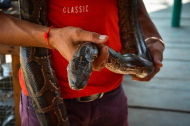 Kamboçya. Siem Reap. Tonle Köyü