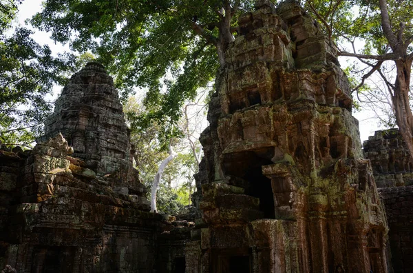 Kambodschanischer Tempel Mit Ruinen Und Bäumen Tempel Phrom — Stockfoto