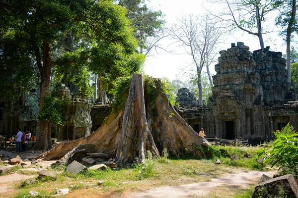 Templo Antiguo Camboyano Con Ruinas Árboles Templo Phrom — Foto de Stock
