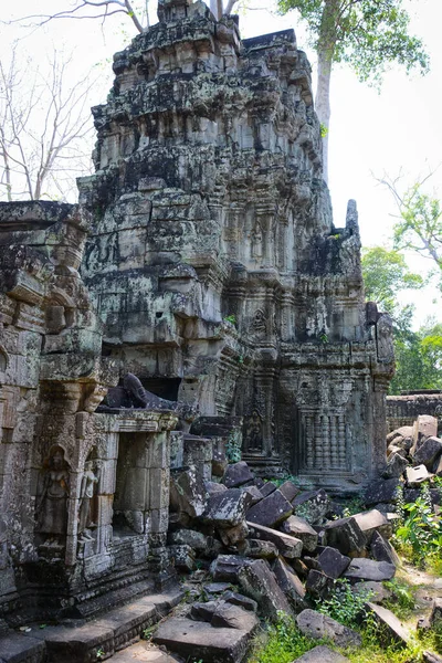 Harabeleri Ağaçları Olan Eski Kamboçya Tapınağı Phrom Tapınağı — Stok fotoğraf