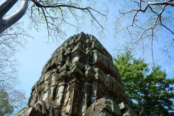 Kambodjanska Antika Tempel Med Ruiner Och Träd Phrom Temple — Stockfoto