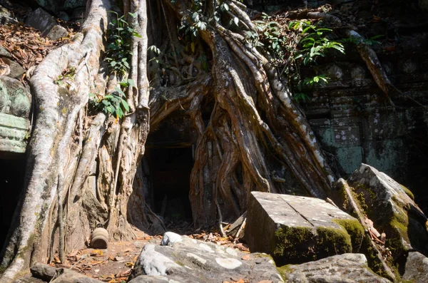 Templo Antigo Cambojano Com Ruínas Árvores Templo Phrom — Fotografia de Stock