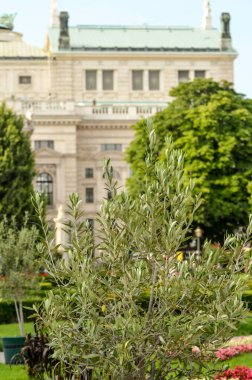 Viyana şehir mimarisi, Avusturya 