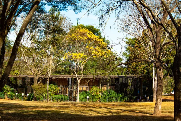 Dierentuin Overdag Brasilia Brazilië — Stockfoto