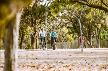 Sarah Kubitschek 'i gündüz vakti park et, Brezilya
