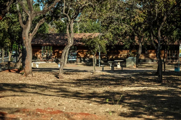 City Park Sarah Kubitschek Brasil — Fotografia de Stock