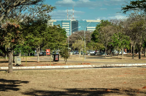 Stadsparken Sarah Kubitschek Brasilien — Stockfoto