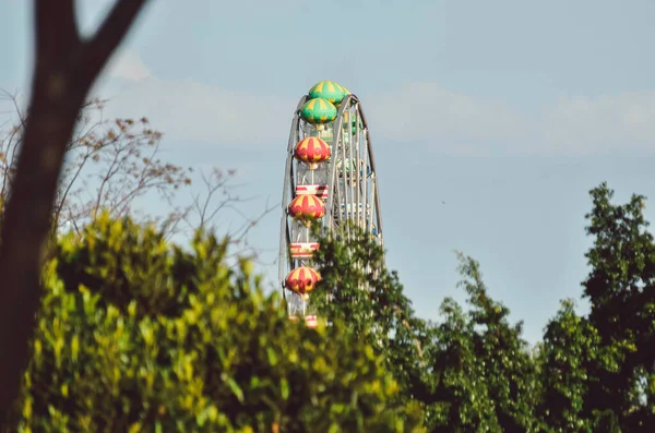 Menschen Ruhen Stadtpark Brasilien — Stockfoto