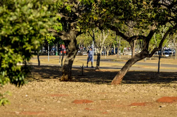Pessoas Descansando Parque Cidade Brasil — Fotografia de Stock