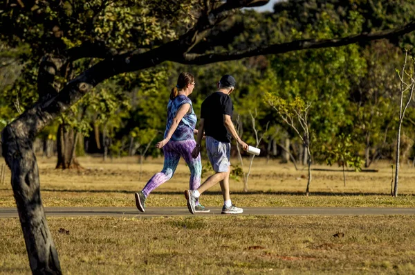 Mensen Die Rusten Het Stadspark Brazilië — Stockfoto