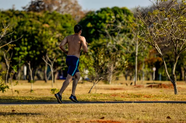 Mensen Die Rusten Het Stadspark Brazilië — Stockfoto