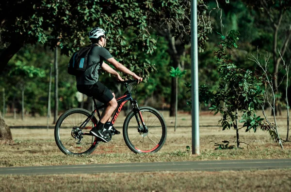 İnsanlar Brezilya 'daki şehir parkında dinleniyor.