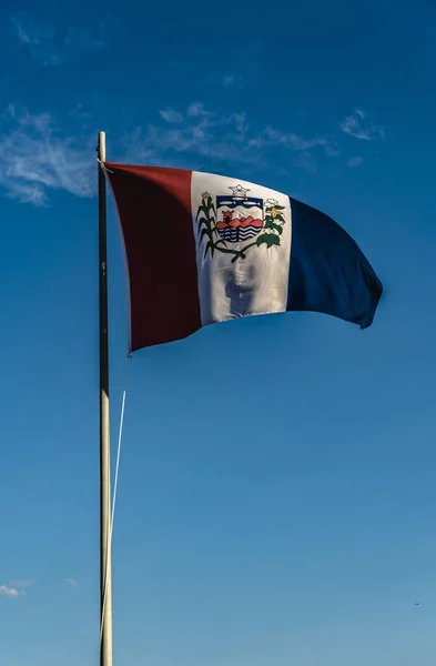 Close Image Brazilian State Flag — Stock Photo, Image