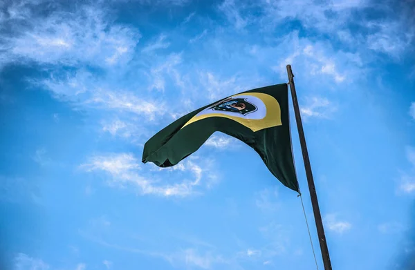 Zamknij Zdjęcie Brazylijskiej Flagi Stanu — Zdjęcie stockowe