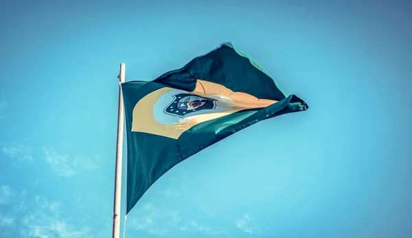 Imagem Perto Bandeira Estado Brasileiro — Fotografia de Stock