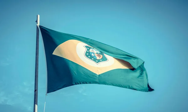 Zamknij Zdjęcie Brazylijskiej Flagi Stanu — Zdjęcie stockowe