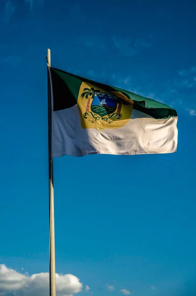 Bandiere Stato Brasiliane Vicino — Foto Stock