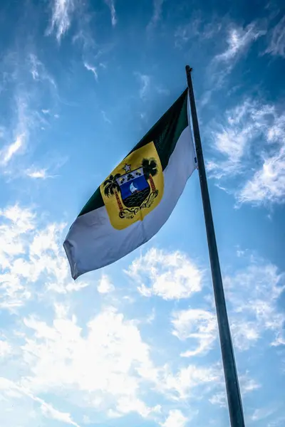 Bandiere Stato Brasiliane Vicino — Foto Stock
