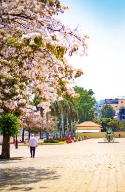 Gündüz Phnom Penh Şehri, Kamboçya 