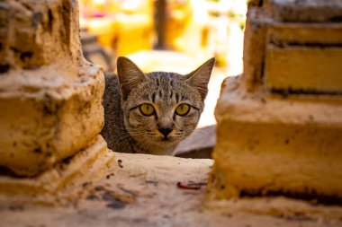 Gündüz Phnom Penh Şehri, Kamboçya 