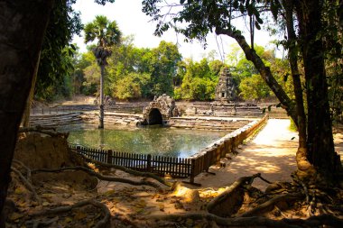 Kamboçya 'daki Angkor Thom Tapınağı 
