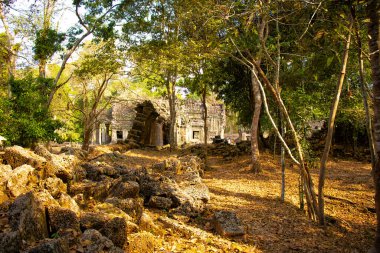 Kamboçya 'daki eski tapınak Agkor Wat