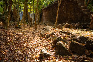 Kamboçya 'daki eski tapınak Agkor Wat