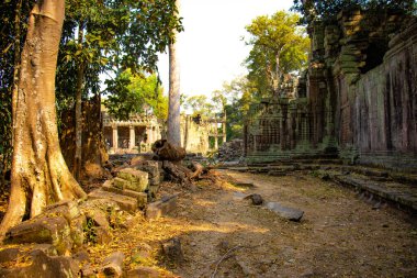 Kamboçya 'daki eski tapınak Agkor Wat