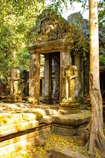 柬埔寨Agkor Wat古寺 — 图库照片