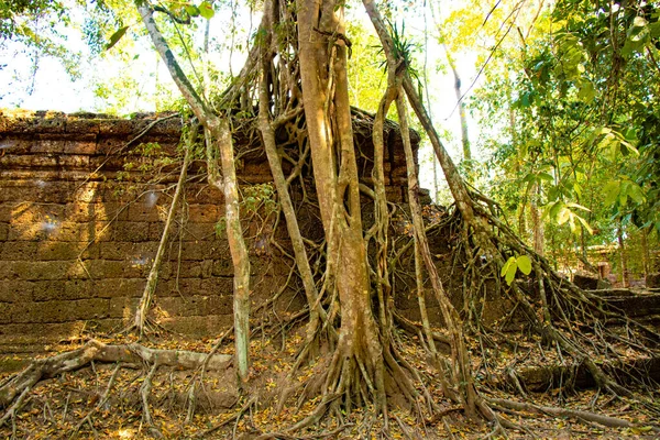 Antigo Templo Agkor Wat Camboja — Fotografia de Stock