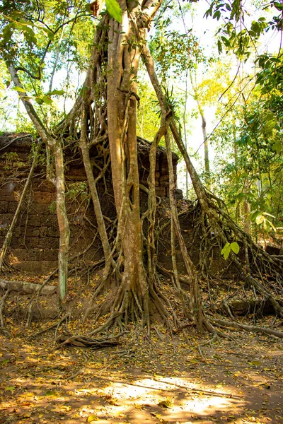 Antigo Templo Agkor Wat Camboja — Fotografia de Stock