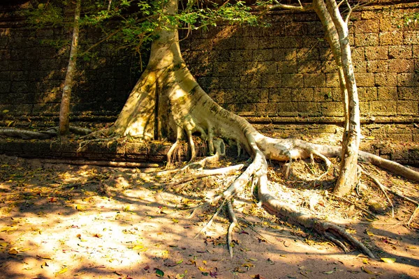 Régi Templom Agkor Wat Kambodzsában — Stock Fotó