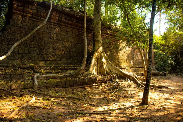 Alter Tempel Agkor Wat Kambodscha — Stockfoto