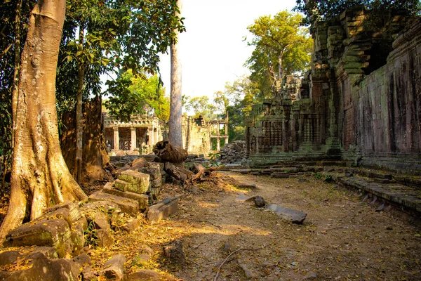 Gamla Templet Agkor Wat Kambodja — Stockfoto