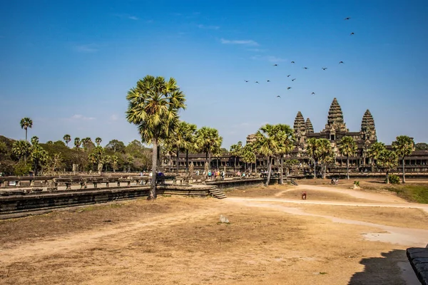 Ancien Temple Agkor Wat Cambodge — Photo