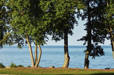 Toronto şehir manzarası, Kanada 