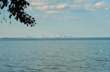 Toronto şehir manzarası, Kanada 