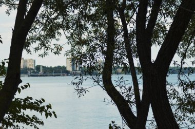 Toronto şehir manzarası, Kanada 